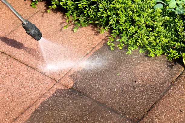 Best Residential Pressure Washing Services  in Yazoo City, MS